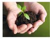 Hrana bio si alimentatia duhovniceasca