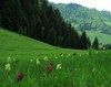 Dumnezeul naturii