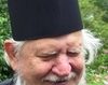 Parinte Teofil Paraian - Parintele duhovnicesc si importanta acestuia