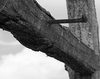 Rastignirea - Crucificarea