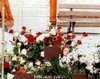 Mormantul Parintelui Paisie Aghioritul