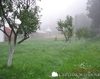 Manastirea Sfantul Prooroc Ilie 