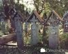 Cimitirul Vesel Sapanta 