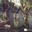 Cimitirul Vesel Sapanta 