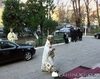 Sf. Sinod - sesiunea toamna 2006 