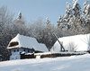Reprezentarea mitica a Anului