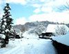 Traditii, Credinte, Obiceiuri prezente in sarbatorile de iarna