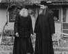 Asceza in monahismul ortodox si practicile necrestine