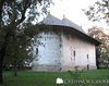 Manastirea Arbore 