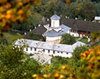 Pelerinaj - Manastirea Prislop