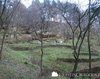 Manastirea Sinca Veche 