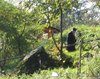 Schitul Sihla - Parinte nevoitor 