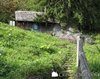 Schitul Sihla - Chilie de nevoitor 