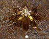 Biserica Tuturor Natiunilor - Ierusalim 