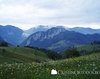 Muntii Trascaului - In drum spre Manastirea Ponor