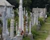 Locuri de veci in Cimitirul Dorobantia