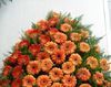 Coroana funerara gerbera